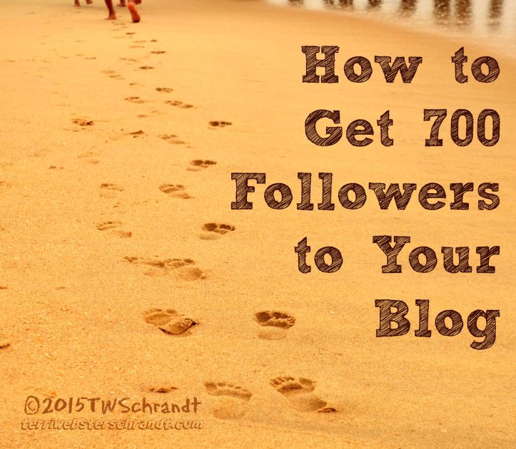 How-to-get-700-follower-to-your-blog