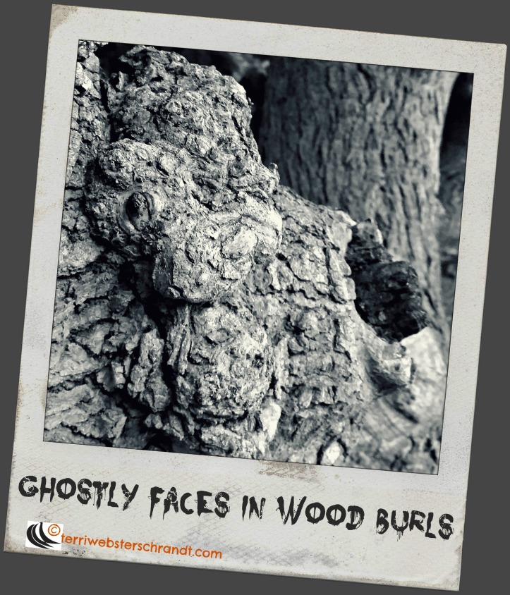 Ghostly Faces in Wood