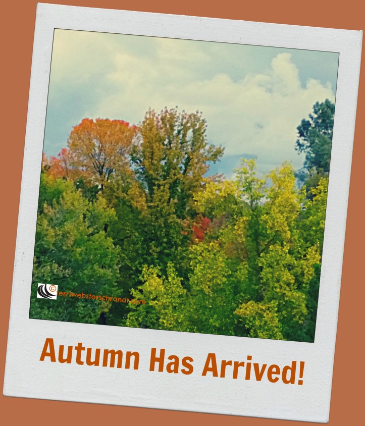 Autumn Has Arrived, like a postcard