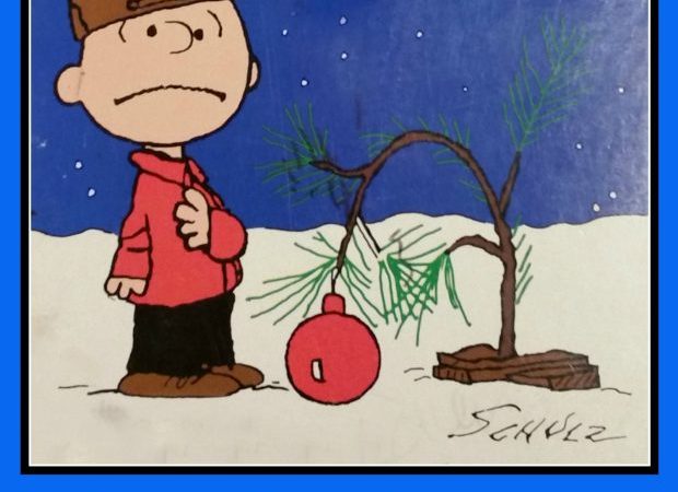 That's what Christmas is all about, Charlie Brown