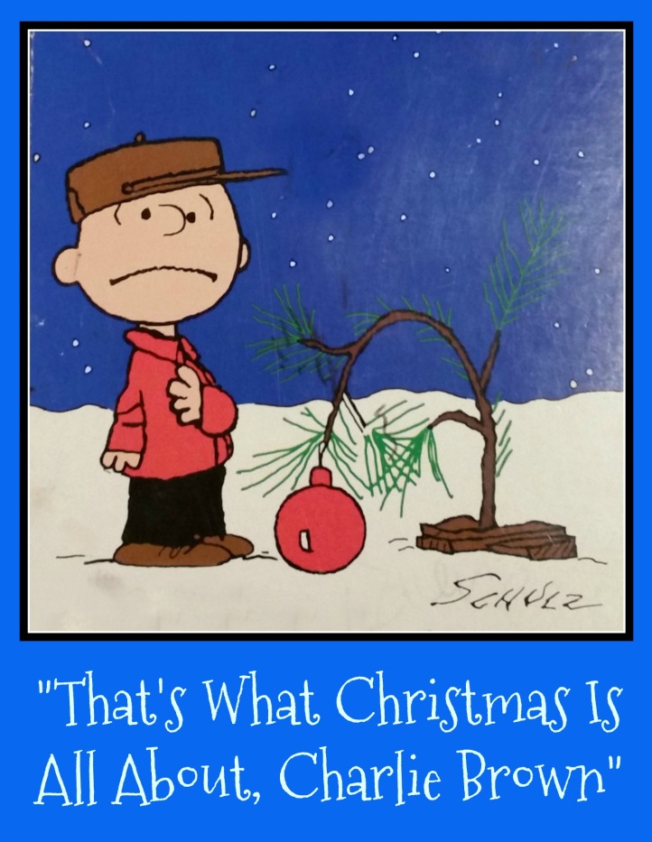That's what Christmas is all about, Charlie Brown