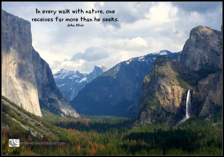 In every walk with nature...Muir
