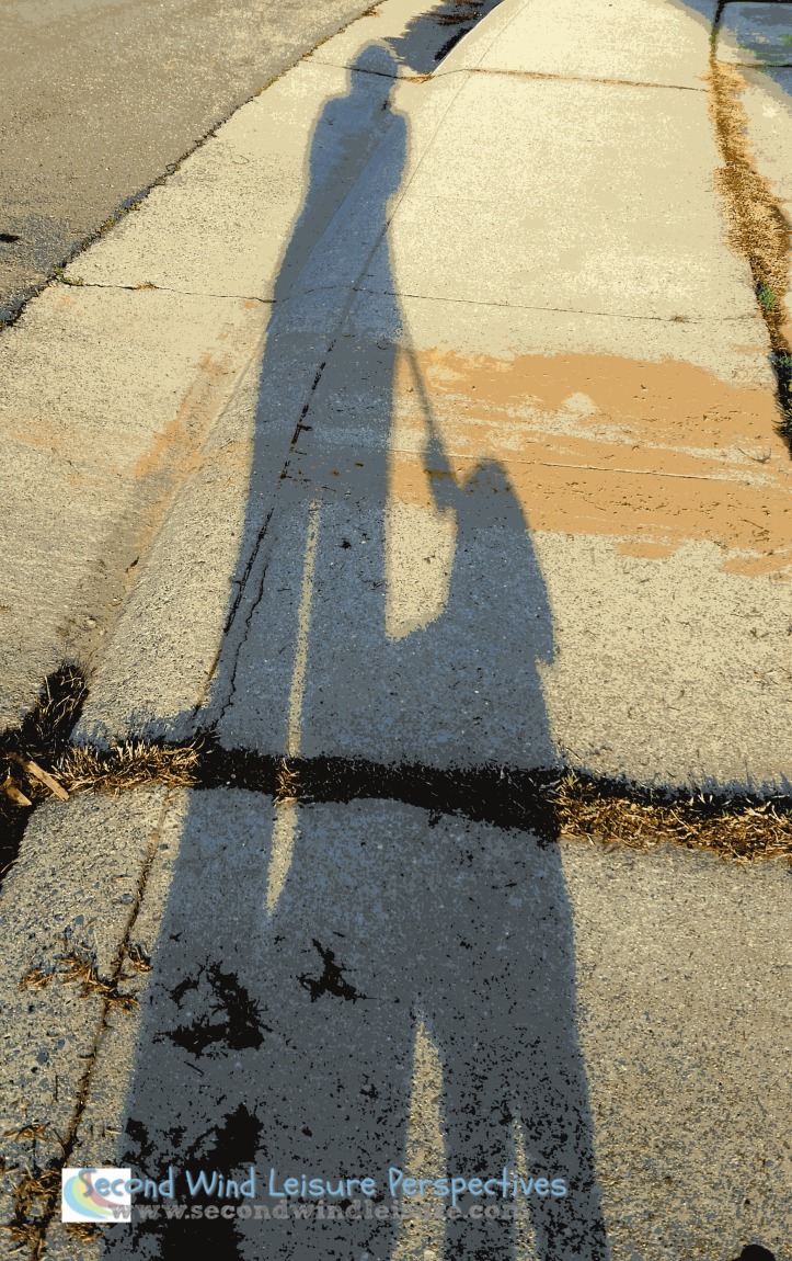 Shadow of the dog walker