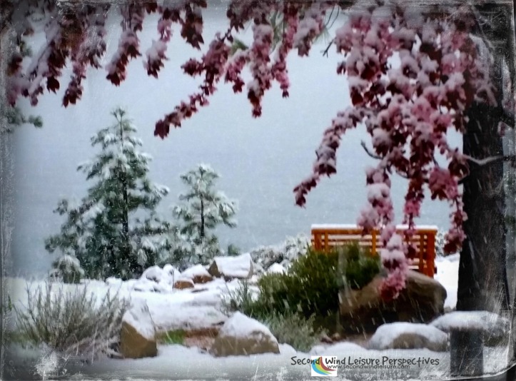 Snow falls for a brief time in Lake Tahoe in May
