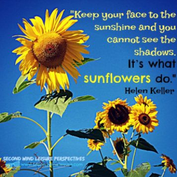 Sunflower quote by Helen Keller