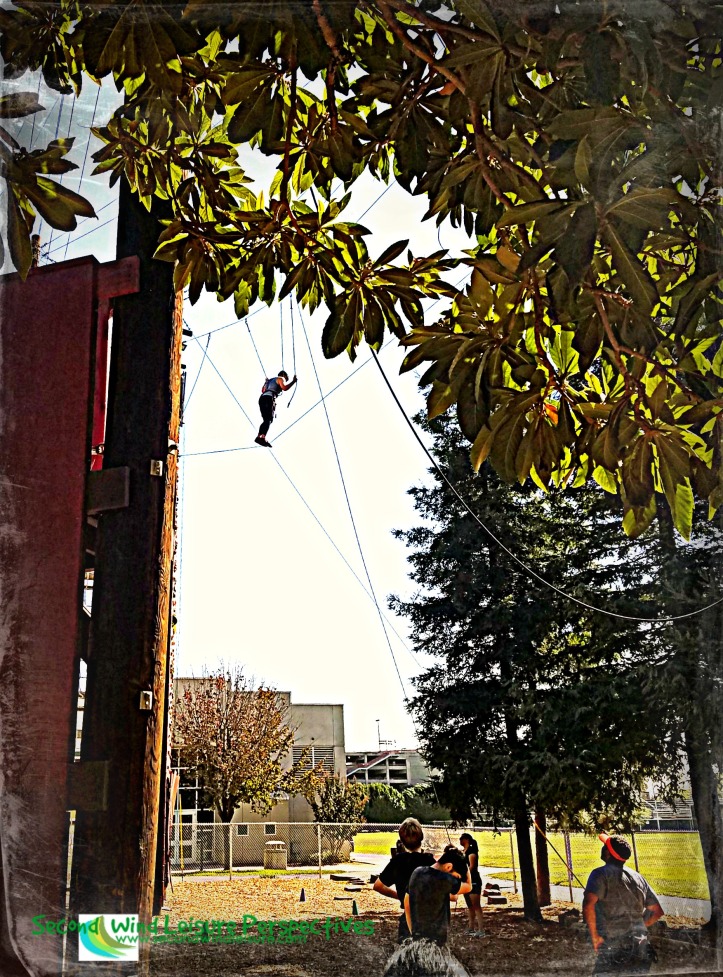 Students hanging out in the trees