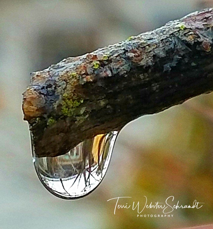 House in a droplet