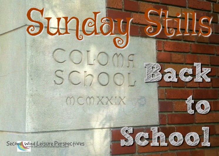 graphic for back to school