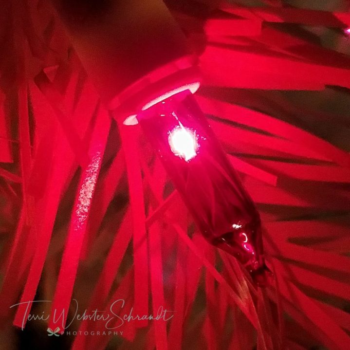 Red Christmas Light