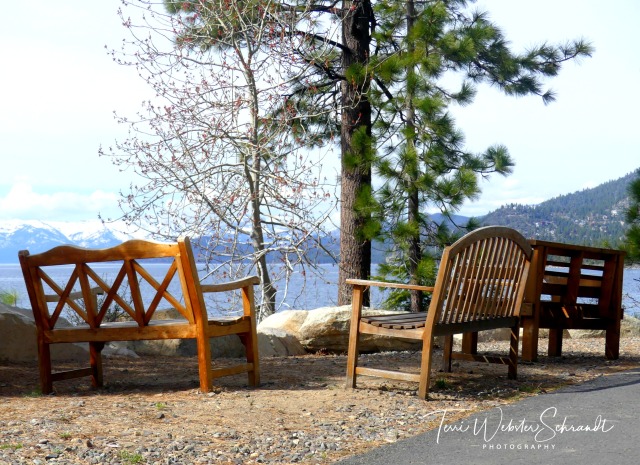 chairs in Lake Tahoe