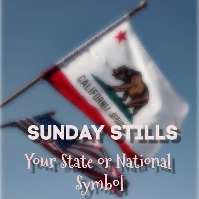 California State Flag Graphic
