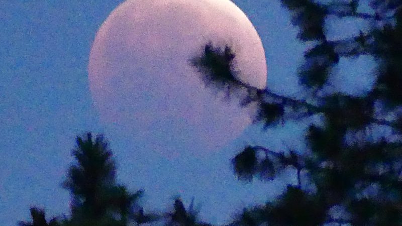 Pink moon in lunar eclipse