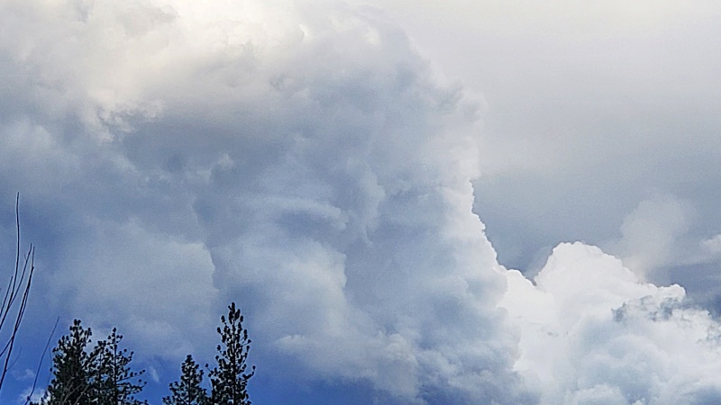 cumulonimbus calvas cloud