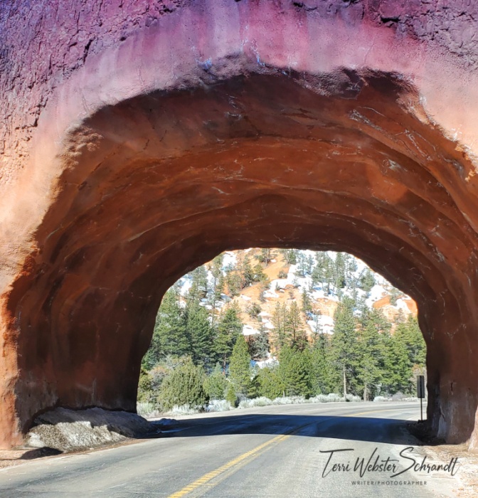 Earthen Entrance Bryce Canyon